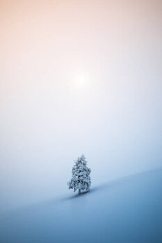 Juliste Christmas Tree