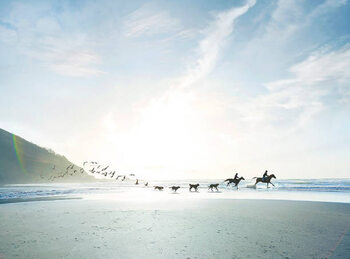 Juliste Conceptual shot of riders, dogs and birds on beach