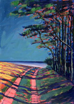 Juliste Devon