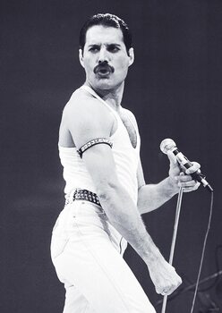 Juliste Freddie Mercury - Live Aid