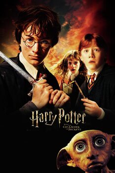 Canvas-taulu Harry Potter - Chamber of secrets