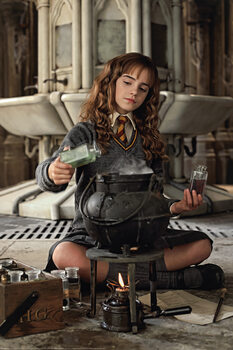 Juliste Harry Potter - Hermione Granger