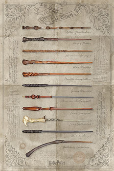 Juliste  Harry Potter - The Wand Chooses The Wizard