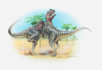 Juliste Illustration of two male Ceratosaurus dinosaurs