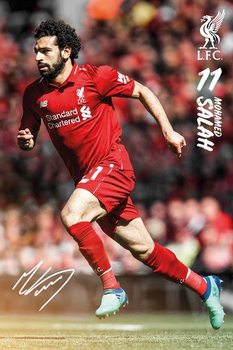 Juliste  Liverpool - Mohamed Salah 1819