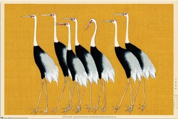 Juliste Ogata Korin - Flock of Beatiful Japanese Red Crown Crane