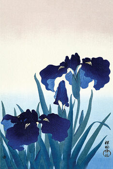 Juliste Ohara Koson - Iris Flowers