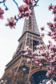 XXL Juliste Paris - Eiffel Tower