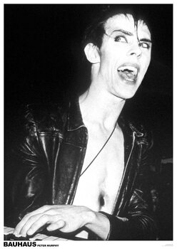 Juliste Peter Murphy of Bauhaus