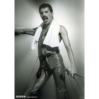 Juliste Queen (Freddie Mercury) - Live On Stage