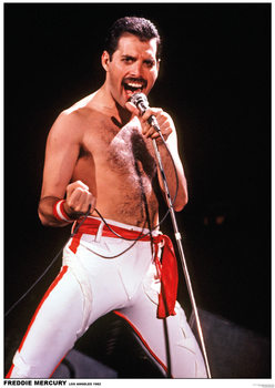 Juliste Queen (Freddie Mercury) - Los Angeles 1982