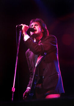 Juliste Ray Davies - portrait