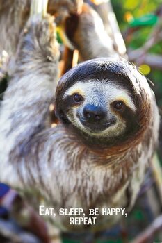 Juliste Smile - Sloth
