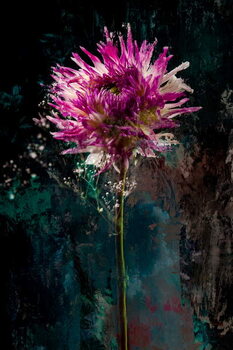 Juliste Sugarplum, 2018