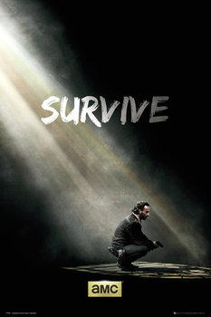 Juliste The Walking Dead - Survive