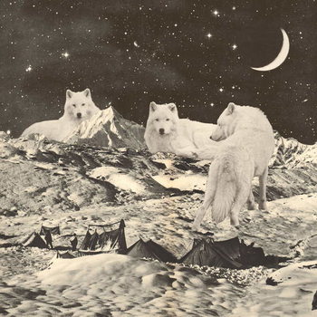 Juliste Three Giant White Wolves on Mountains