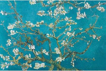 Juliste Vincent van Gogh - Almond Blossoms