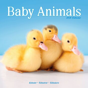 Kalendar 2026 Baby Animals