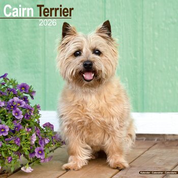 Kalendar 2026 Cairn Terrier
