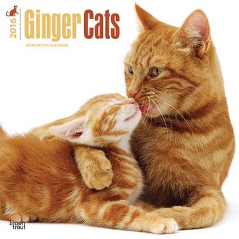 Kalendar 2027 Cats 2