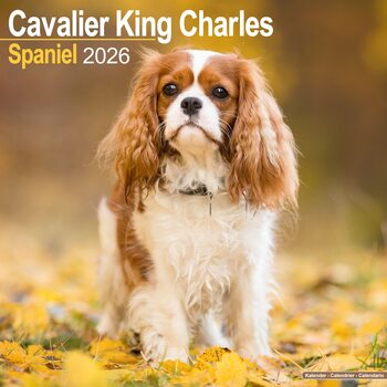 Kalendar 2026 Cavalier King Charles