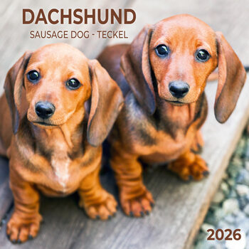 Kalendar 2026 Dachshund