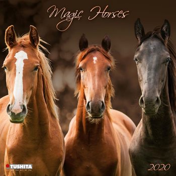 Kalendar 2027 Magic Horses