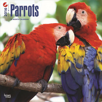 Kalendar 2027 Parrots