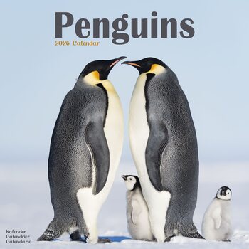 Kalendar 2026 Penguins