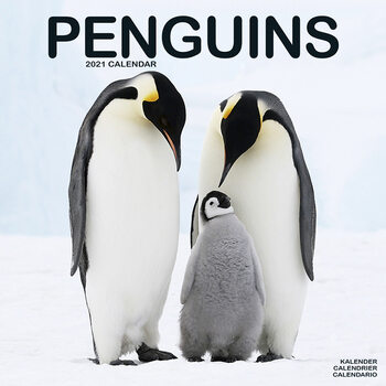 Kalendar 2027 Penguins