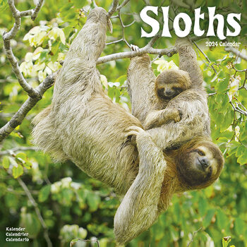 Kalendar 2027 Sloths