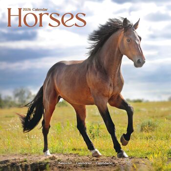 Kalender 2026 Horses