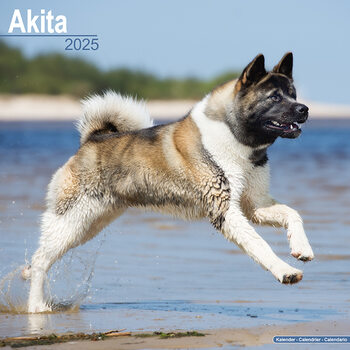 Kalenteri 2027 Akita
