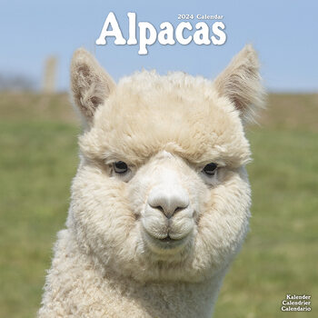 Kalenteri 2027 Alpacas