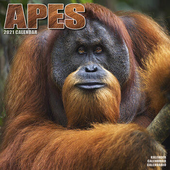 Kalenteri 2027 Apes