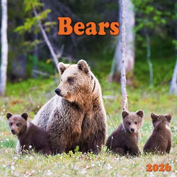 Kalenteri 2027 Bears