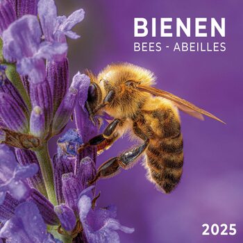 Kalenteri 2027 Bees