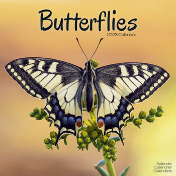 Kalenteri 2023 Butterflies