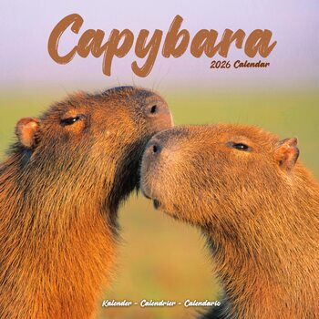 Kalenteri 2027 Capybara