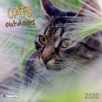 Kalenteri 2027 Cats Outdoors