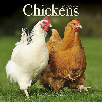 Kalenteri 2027 Chickens