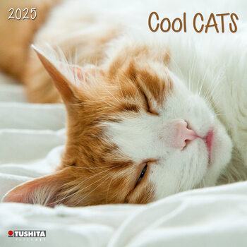 Kalenteri 2027 Cool Cats