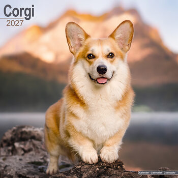 Kalenteri 2027 Corgi