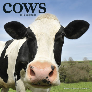 Kalenteri 2027 Cows