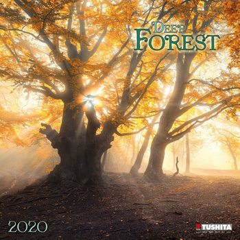Kalenteri 2027 Deep Forest