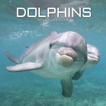 Kalenteri 2027 Dolphins