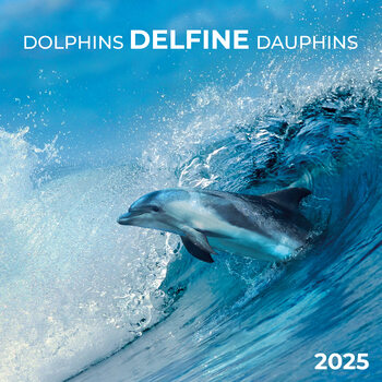 Kalenteri 2027 Dolphins