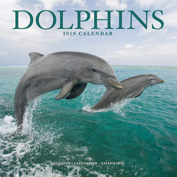 Kalenteri 2027 Dolphins