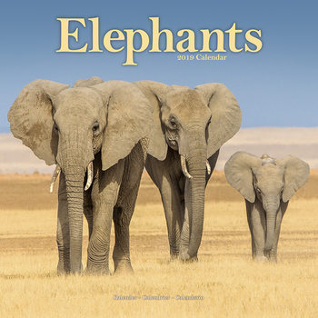 Kalenteri 2027 Elephants
