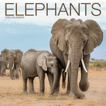 Kalenteri 2020  Elephants